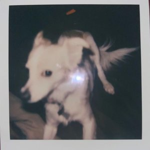 Ivy - EP