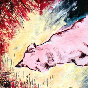 COPY cover