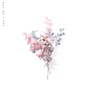 Why Do I Try - Single