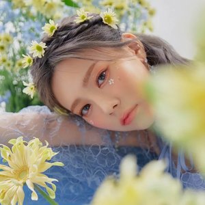 은채 的头像