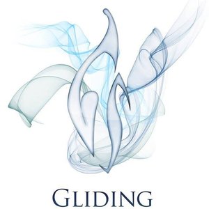 Avatar for Gliding Soul