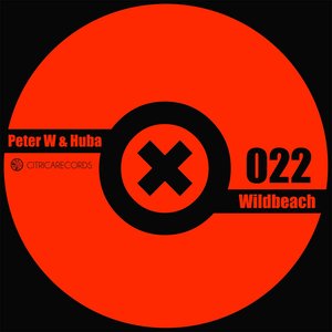 Wildbeach (feat. Vito Fattore, Hoph)