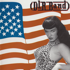 DLR Band cover