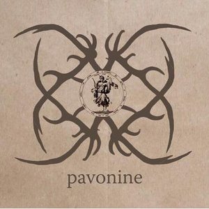 Pavonine