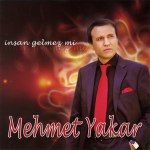 İnsan Gelmez Mi