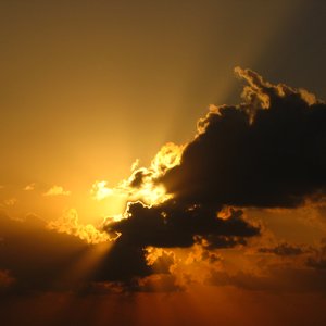 Avatar for 210 Sunset