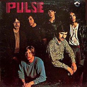 “Pulse”的封面