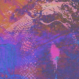 Lizard Mutations 1