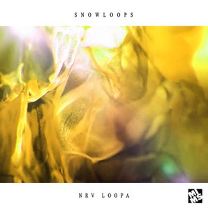 Vlooper aka NRV loopa 的头像