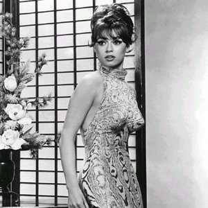 Fran Jeffries 的头像