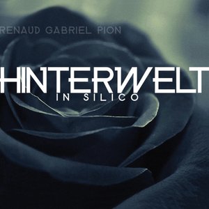 Hinterwelt in Silico