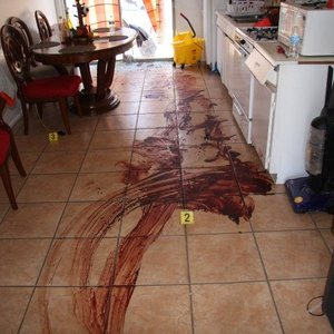 Bloody Apartment 的头像