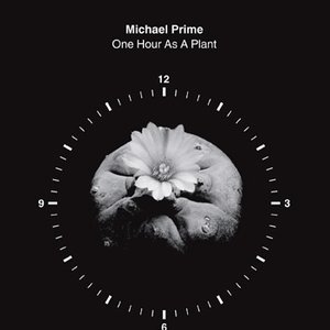 one hour as a plant