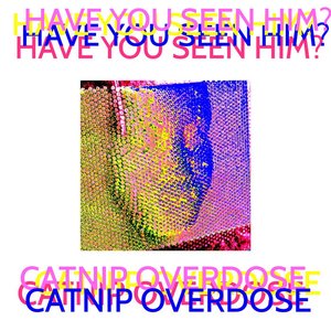 Have You Seen Him?