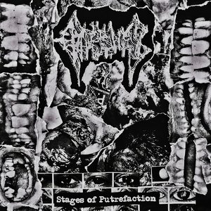 Stages of Putrefaction