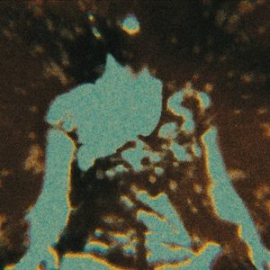 orpheus in the chasm