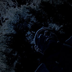 Coniferous Wall 的头像