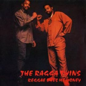 Reggae Owes Me Money cover