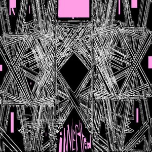 Image for 'Inverted - 2008 promo'
