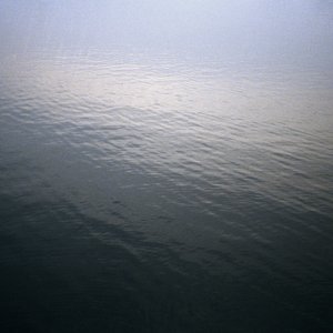 Purl & Deflektion 的头像