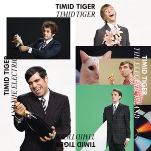 Timid Tiger and the Electric Island (10 Years Anniversary Edition)