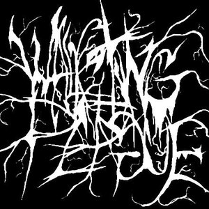 Walking Plague 的头像
