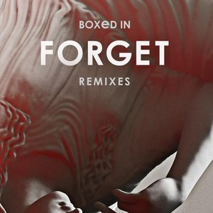 Forget (Remixes)