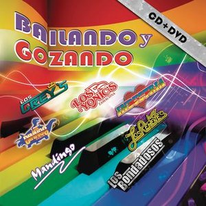 Bailando Y Gozando