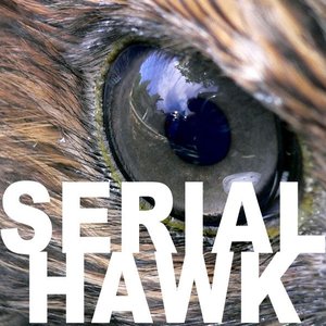 Avatar for Serial Hawk