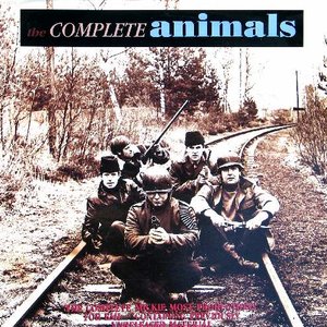 Animals - Bury Me Body Lyrics - Zortam Music
