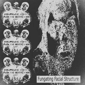 Fungating Facial Structure