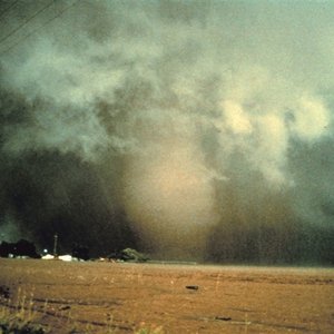 Dimmitt