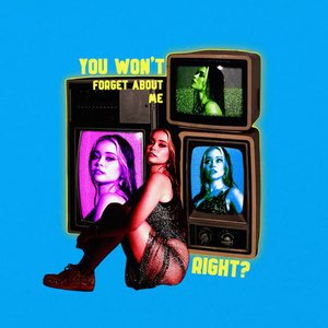 You Won't Forget About Me, Right? - Single
