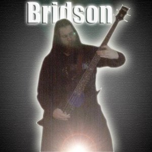 Изображение для 'Bridson'