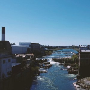 Mataura Paper Mill - Single