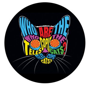 The Telescopic Cats 的头像