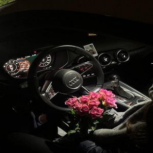Sosa In This Audi