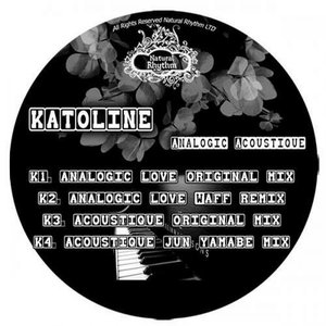 Analogic Acoustique