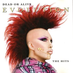 Evolution The Hits