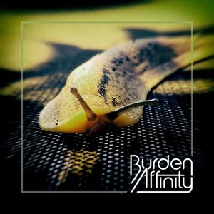 Burden Affinity