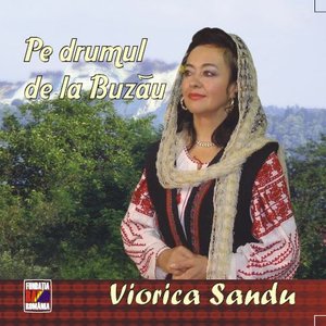 “Viorica Sandu”的封面