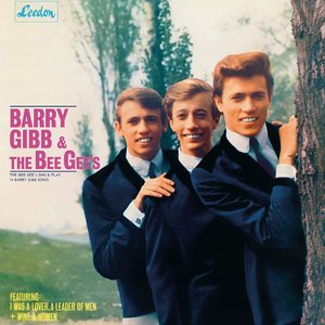 “The Bee Gees Sing And Play 14 Barry Gibb Songs”的封面