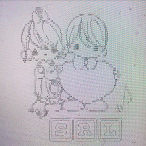 SRL 的头像