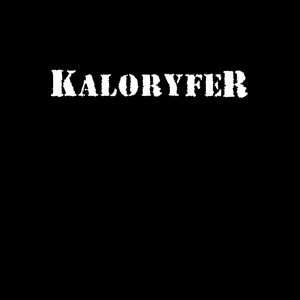 “Kaloryfer! PROMO 2010”的封面