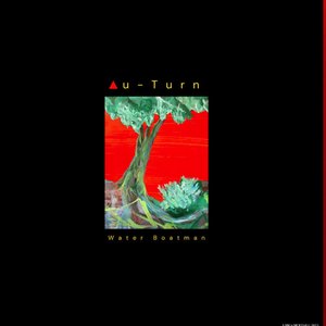Water Boatman - Single