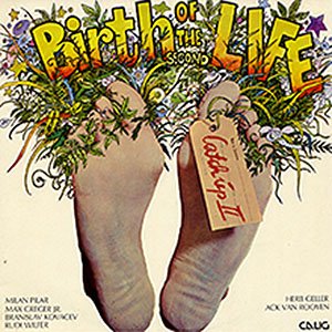 The Birth of The Second Life