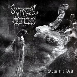 Open The Veil