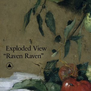Raven Raven