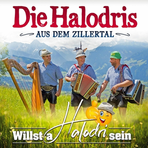 Artwork for A bissl Heihupfn gia