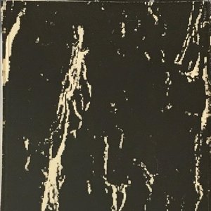 Demo II